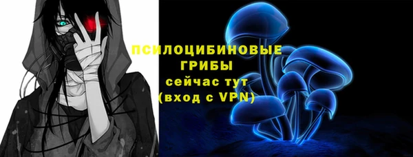 прущий лед Няндома