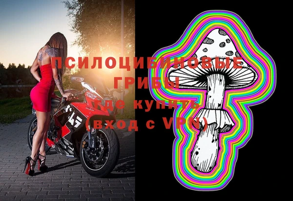 прущий лед Няндома