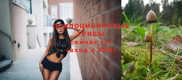 прущий лед Няндома